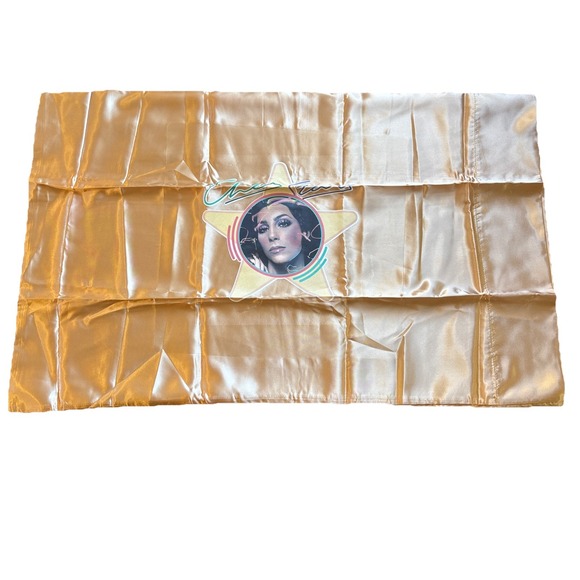 Cher promo silk pillowcase Casablanca stars golden copper color Mr Satin Inc Vtg